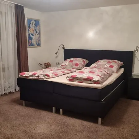 公寓 Haus Zeller Klettgau